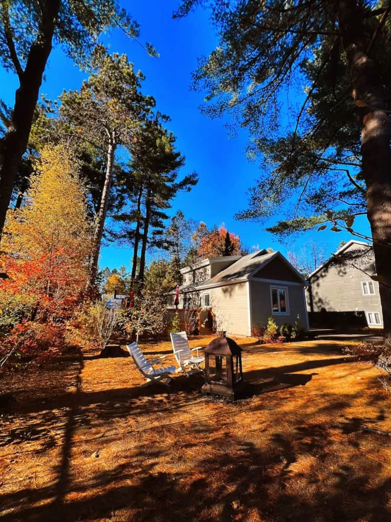 Extérieur du chalet en automne avec chaises et foyer